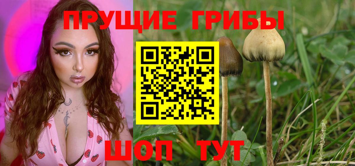 Псилоцибиновые грибы Magic Shrooms Дагестанские Огни